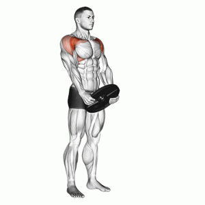 Plate Curls