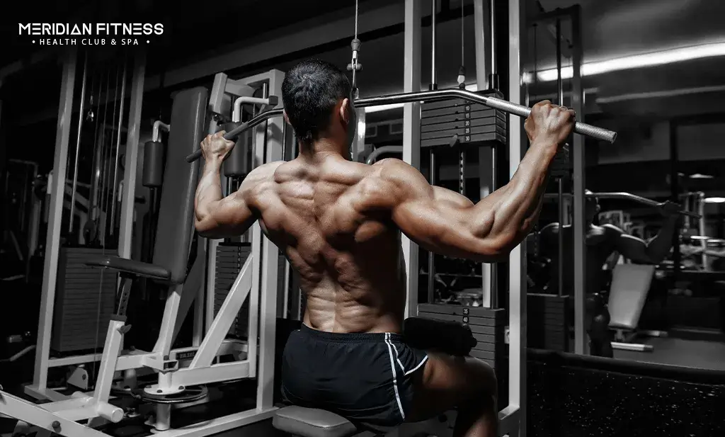 Increases Strength and Muscle Growth