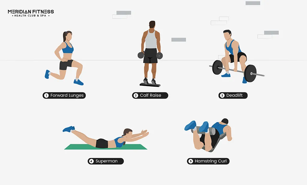 Lower Body Exercises