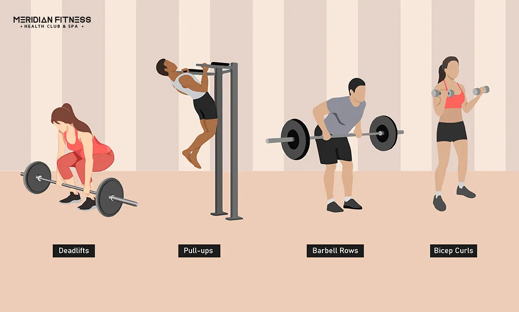 Tuesday is for Back and Biceps