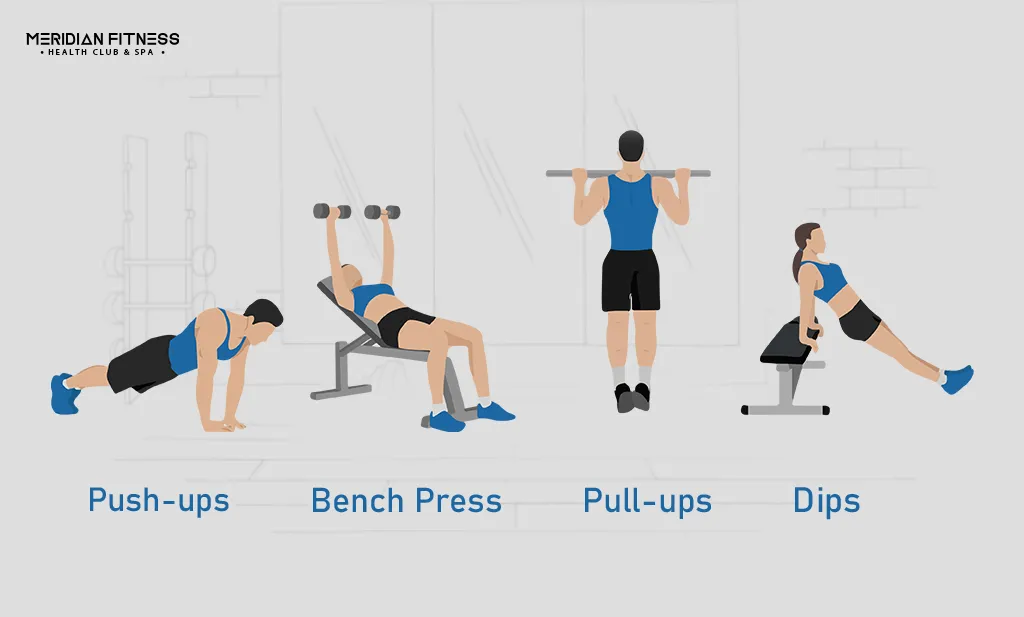 Upper Body Exercises circuit