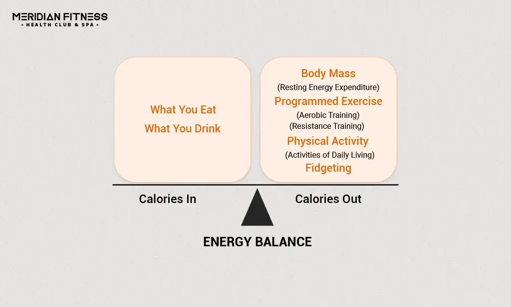 Diet In Body Weight And Fitness Management