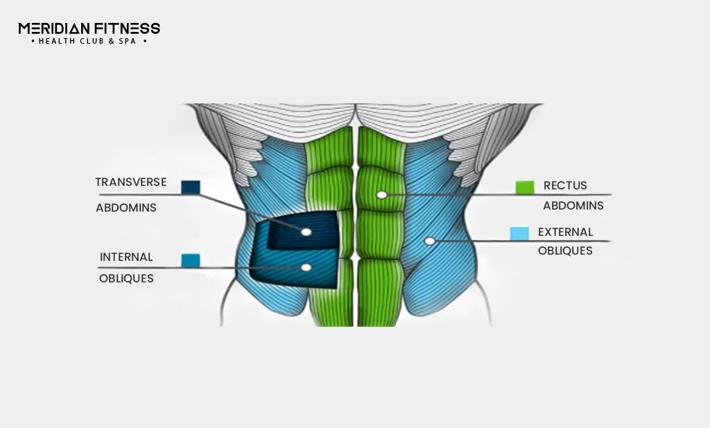 Abs Workout
