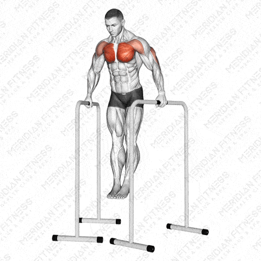 BarDip Exercise