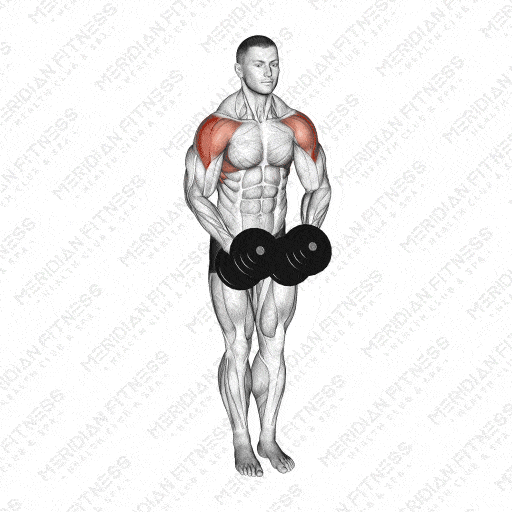Dumbbell Lateral Raise
