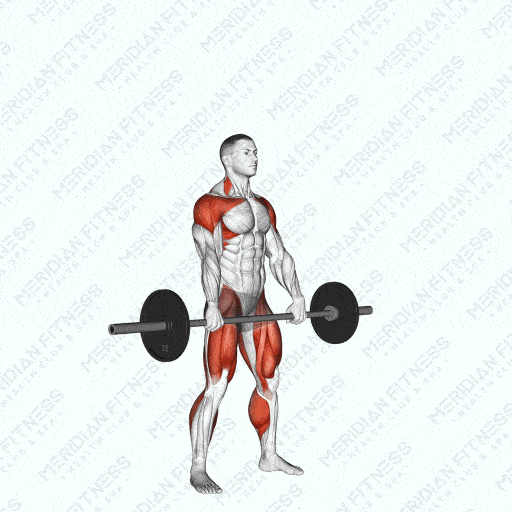 Hang Snatch Weightlifts