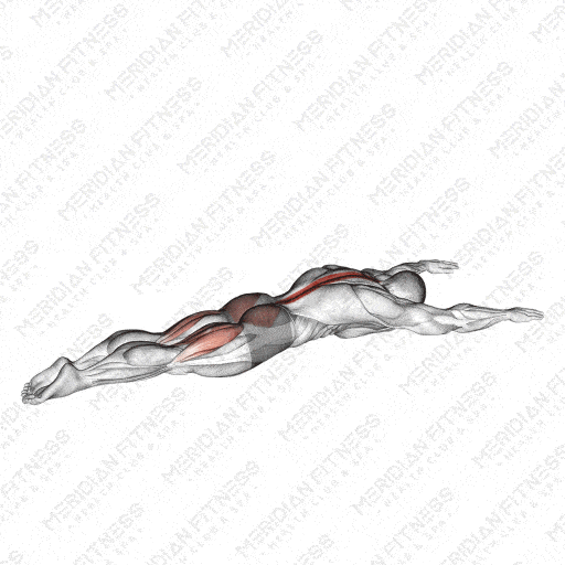 Superman Exercise