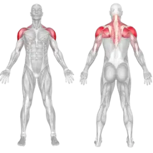 Lateral Raises