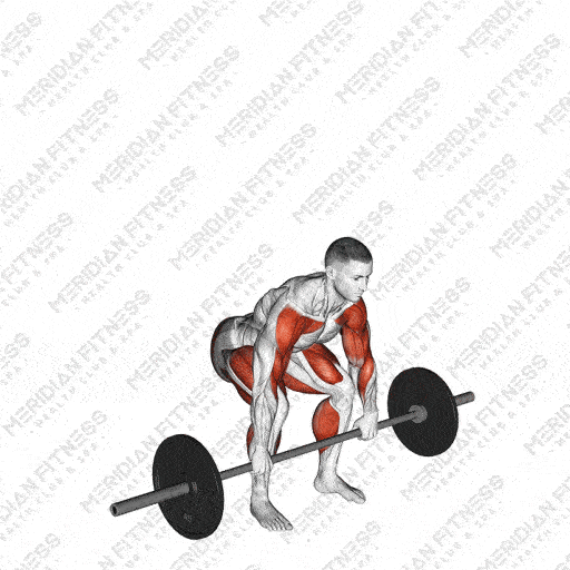 Barbell Clean