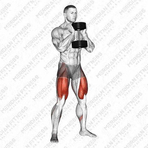 Dumbbell Goblet Squat