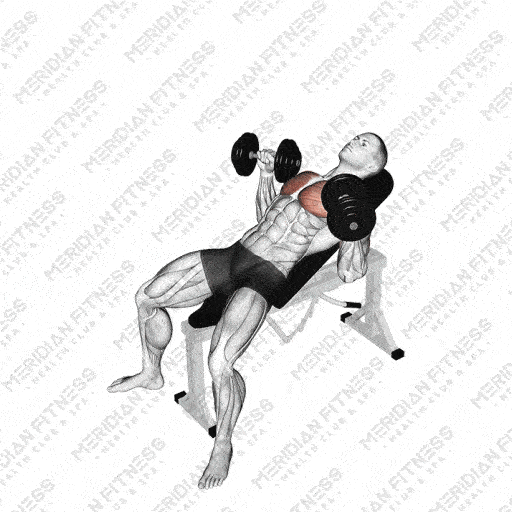 Dumbbell Incline Bench Press