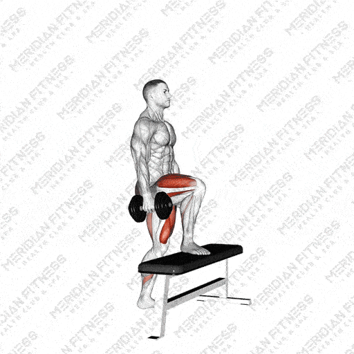 Dumbbell Step Up