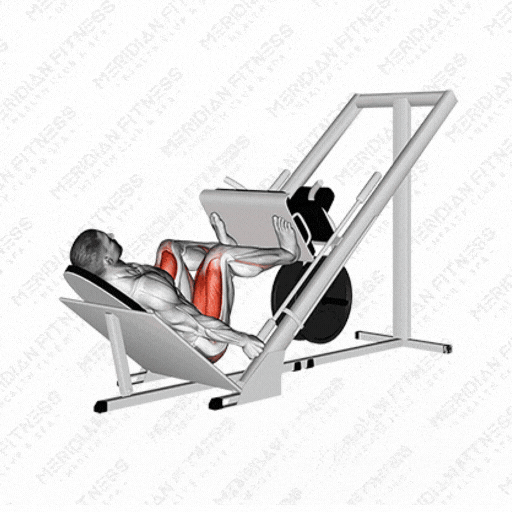 Leg Press Exercise