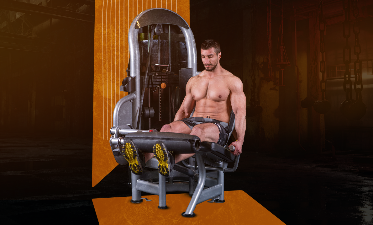 Lever Leg Extension