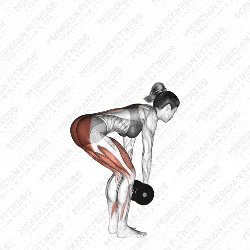 Romanian Deadlift