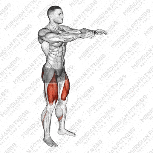 Squats