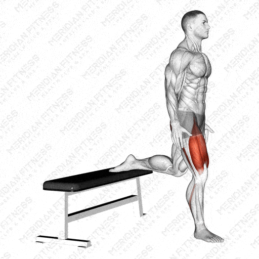 Bulgarian Split Squat