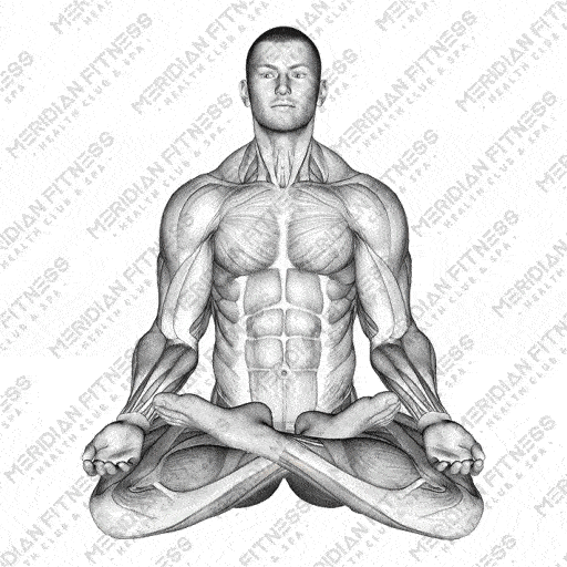 Lotus Yoga Pose