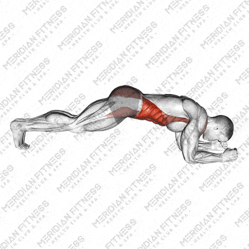 Plank